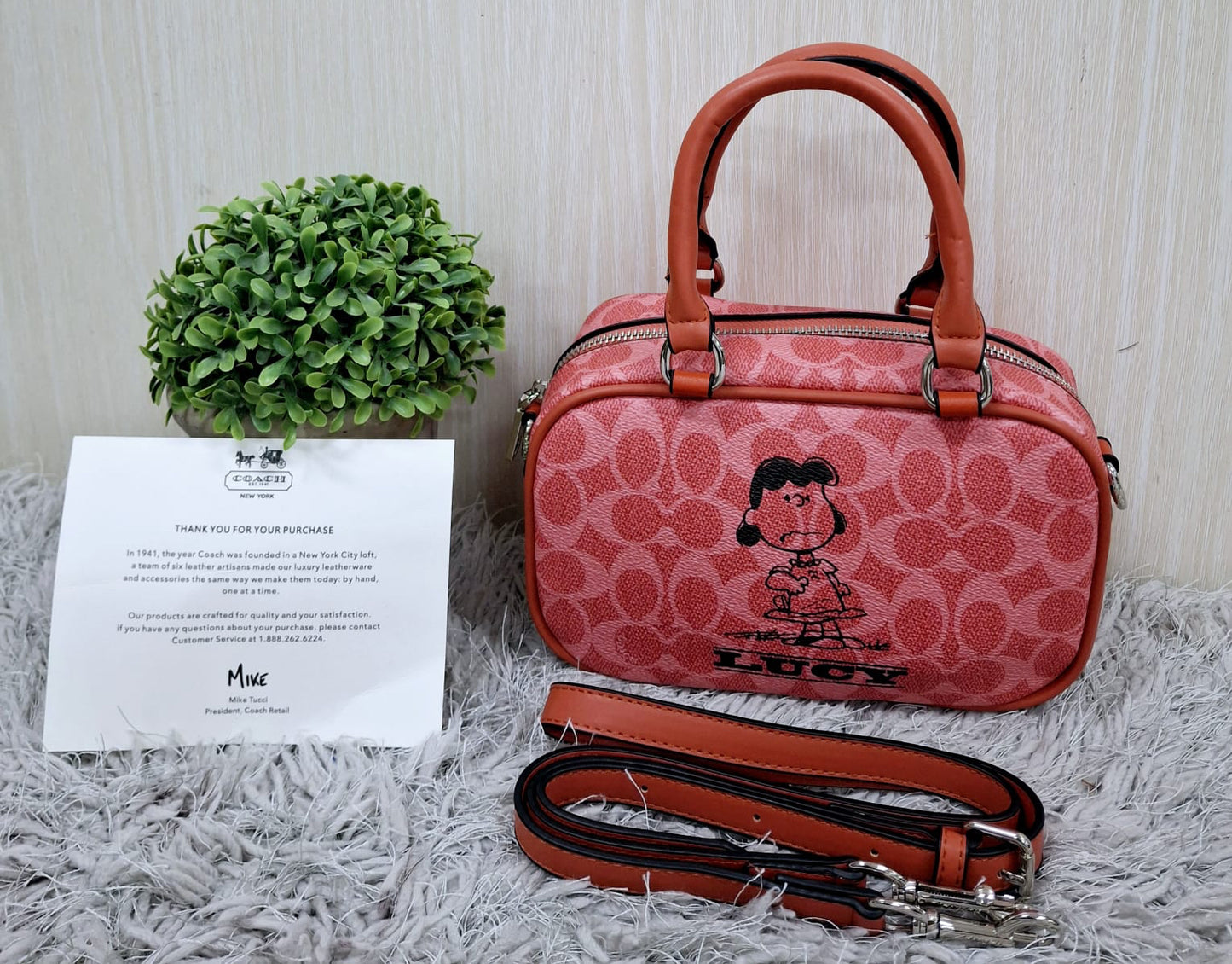 Coach (copia 16)