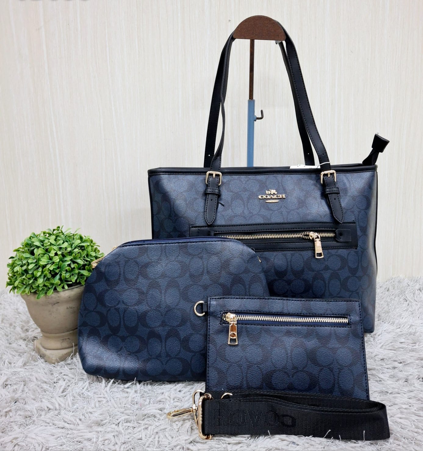 Coach (copia 5)
