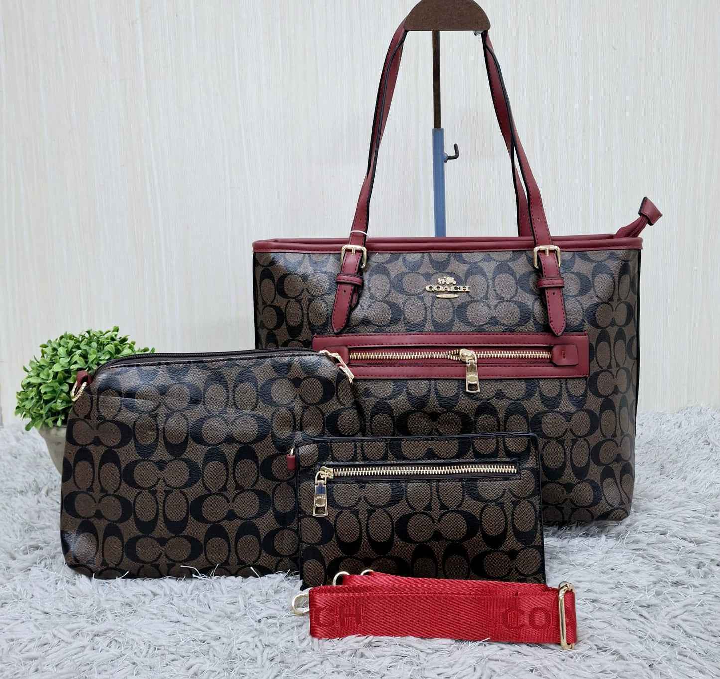 Coach (copia 6)