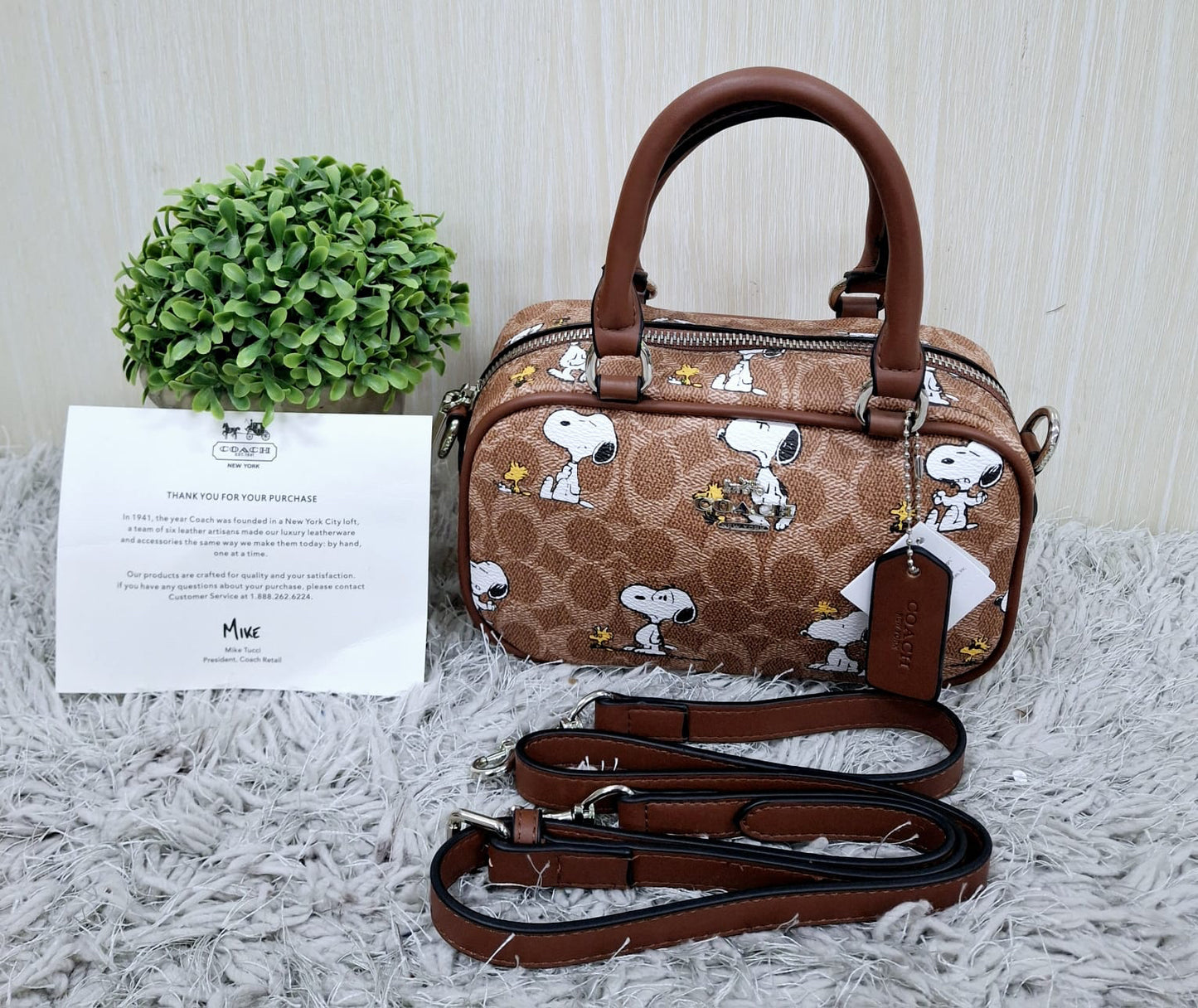 Coach (copia 14)