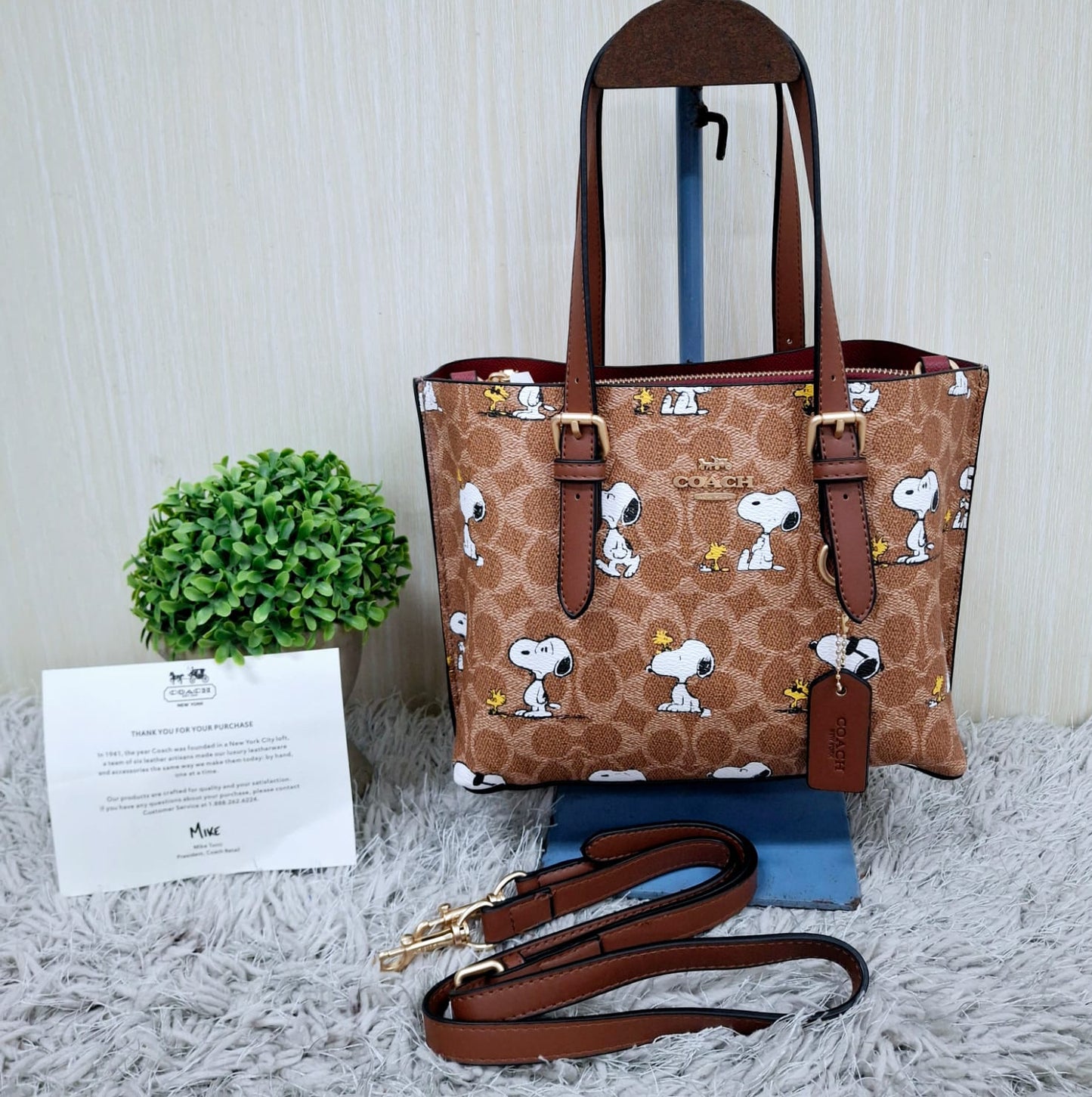 Coach (copia 7)