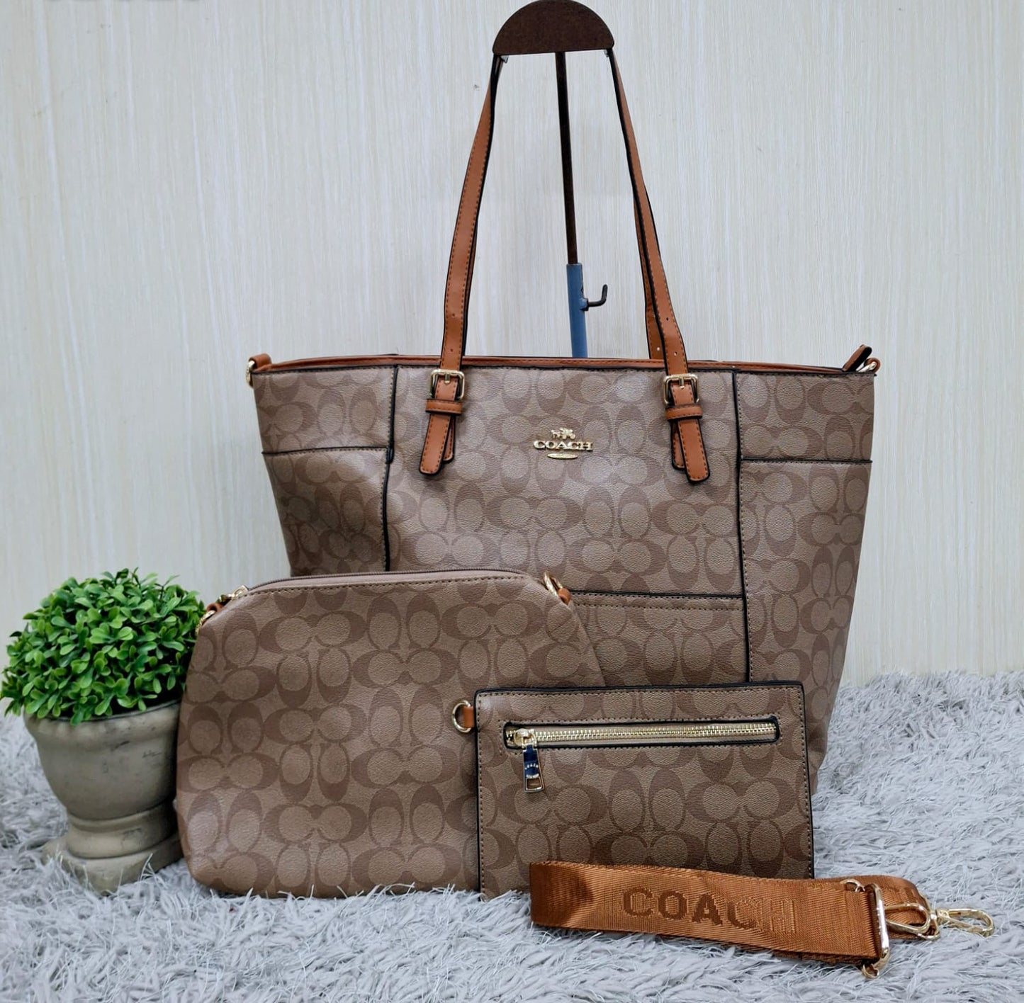Coach (copia 3)