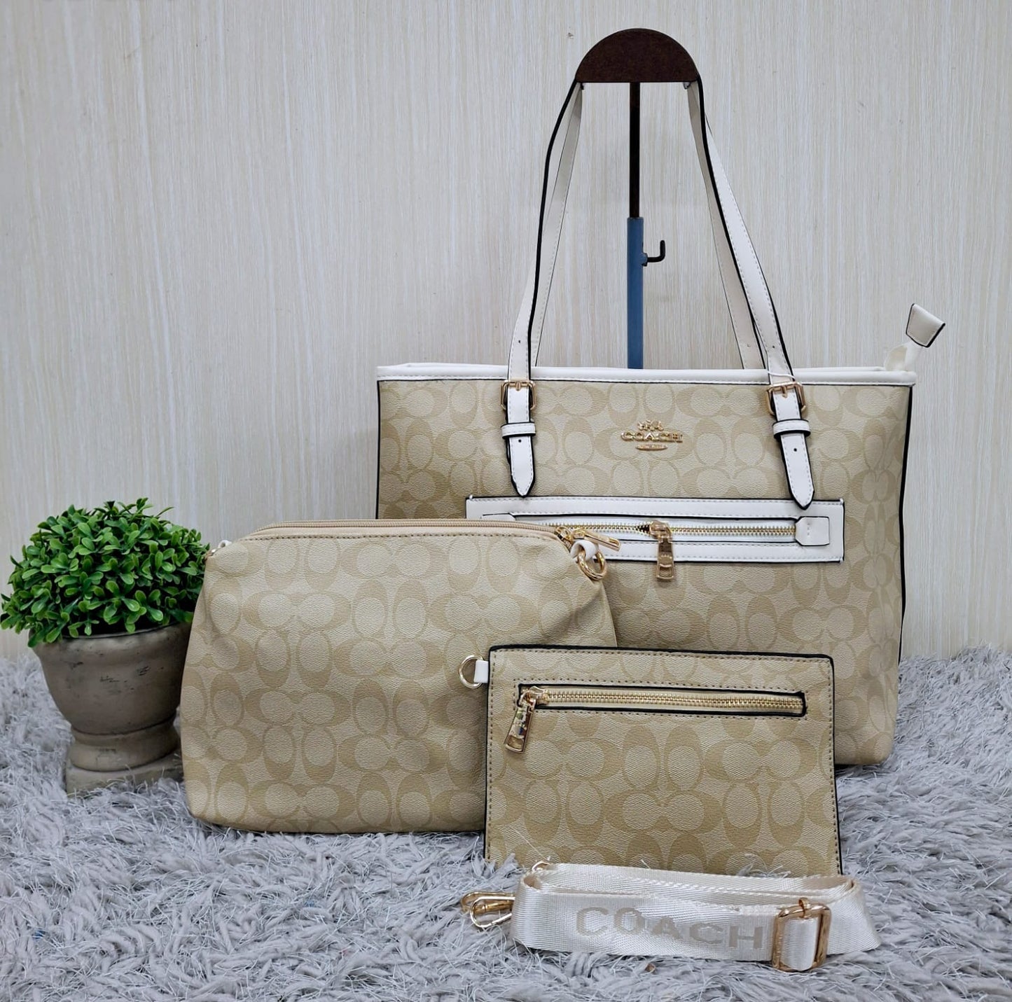 Coach (copia 9)