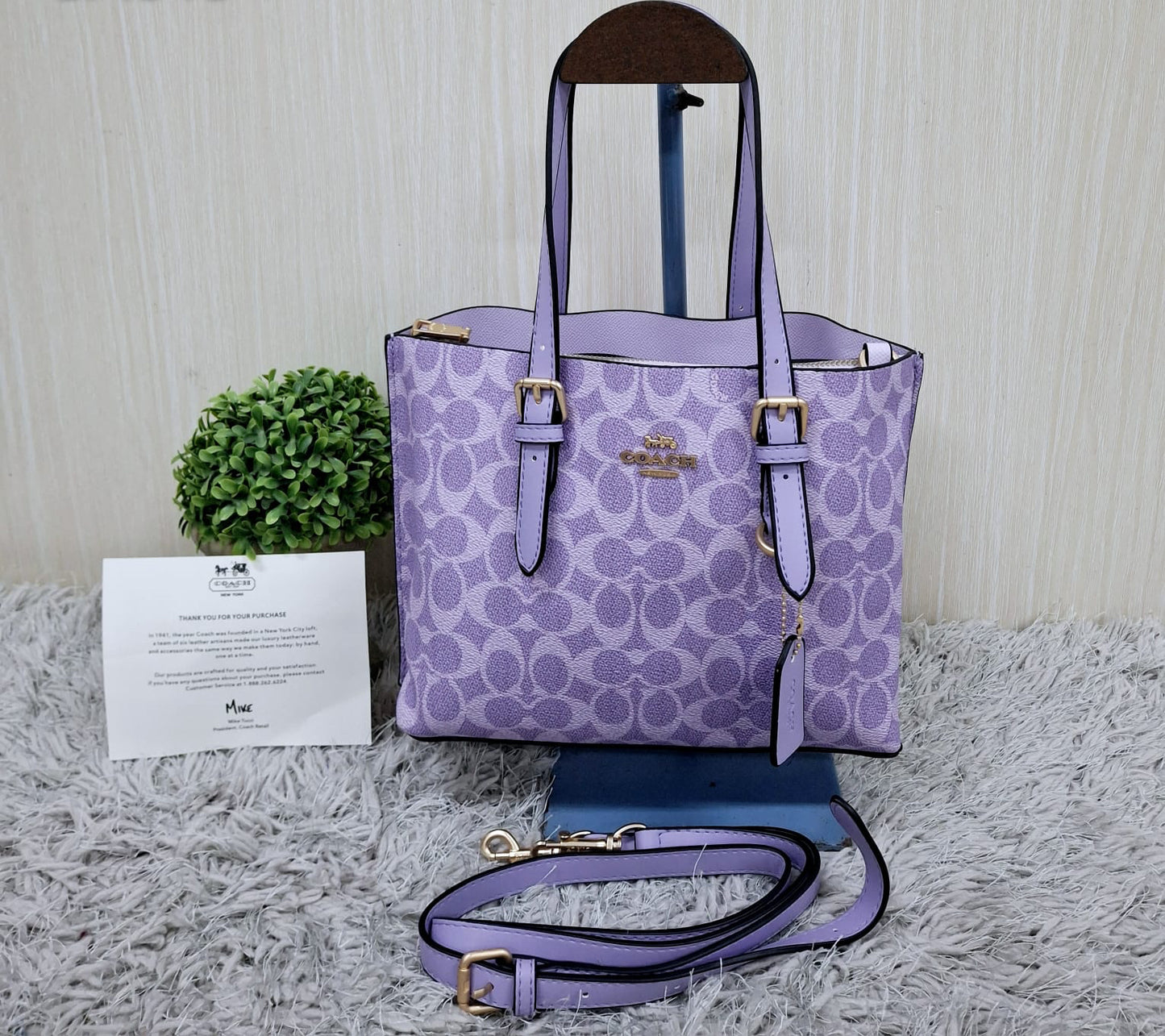 Coach (copia 6)