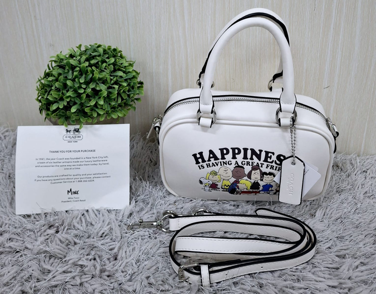 Coach (copia 15)