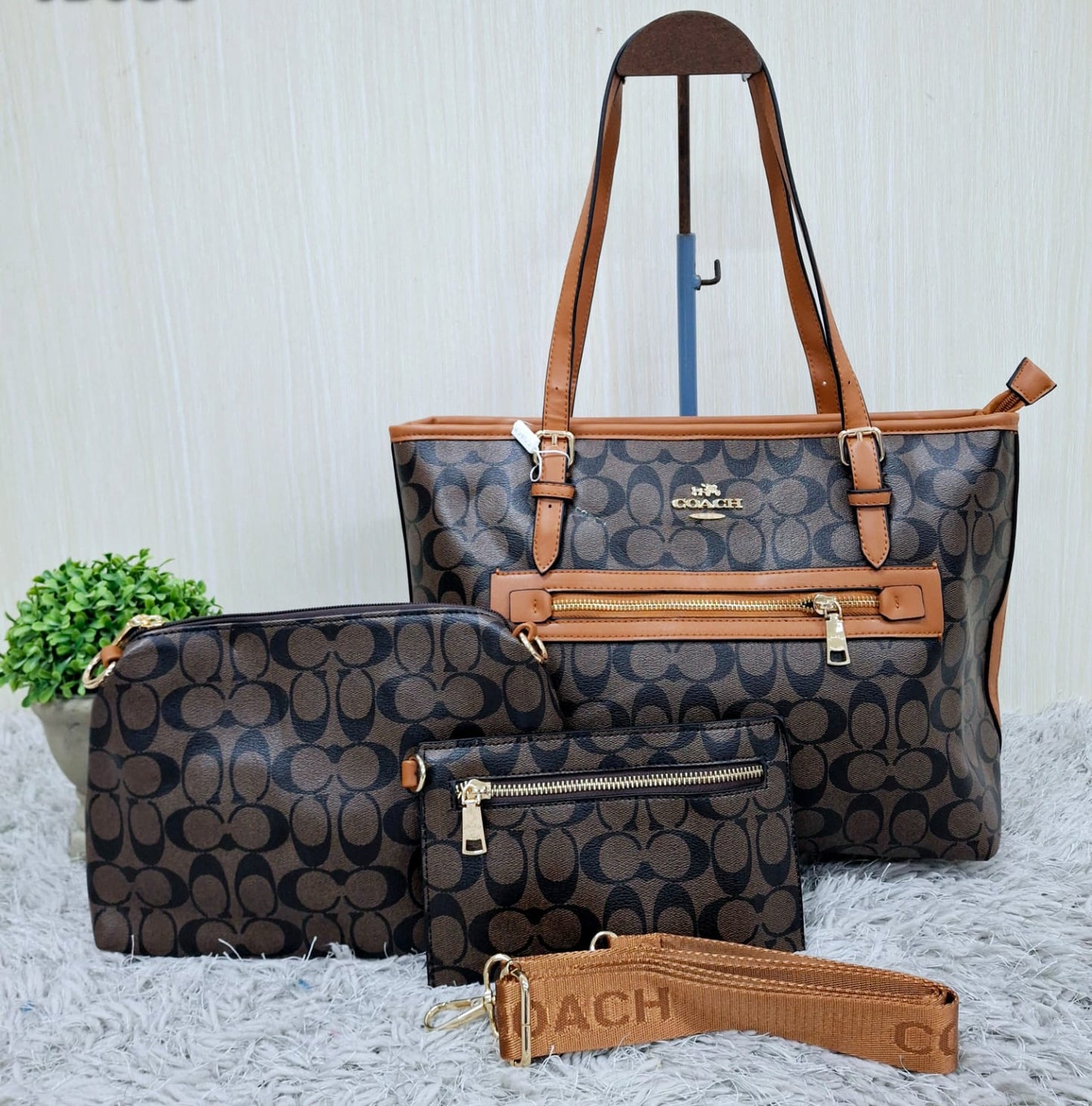 Coach (copia 7)