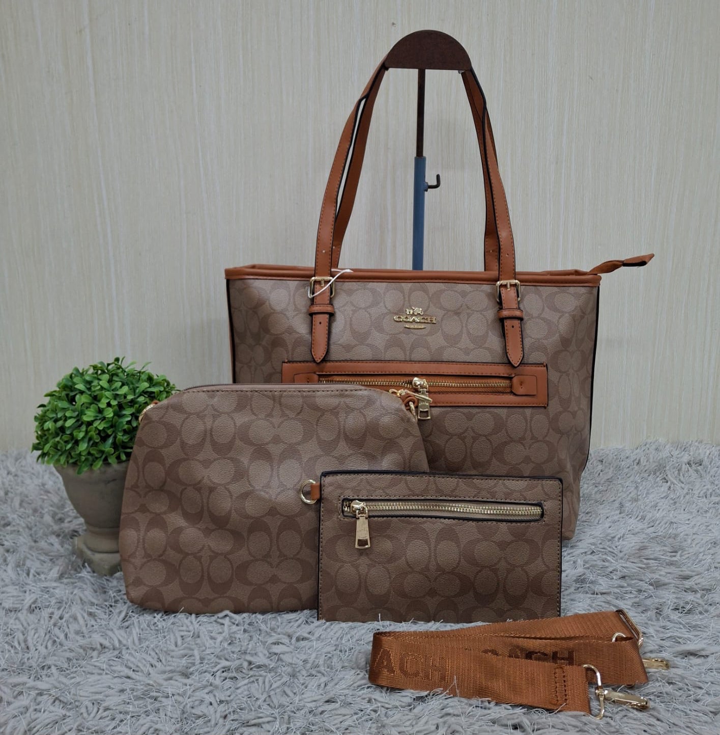 Coach (copia 10)