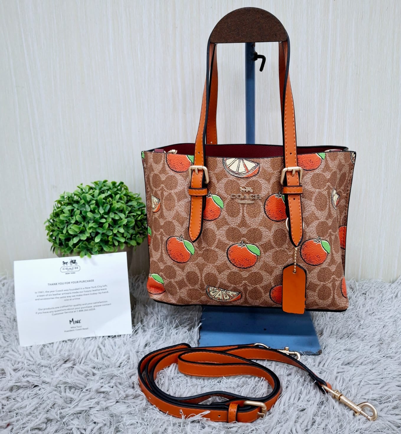 Coach (copia 2)