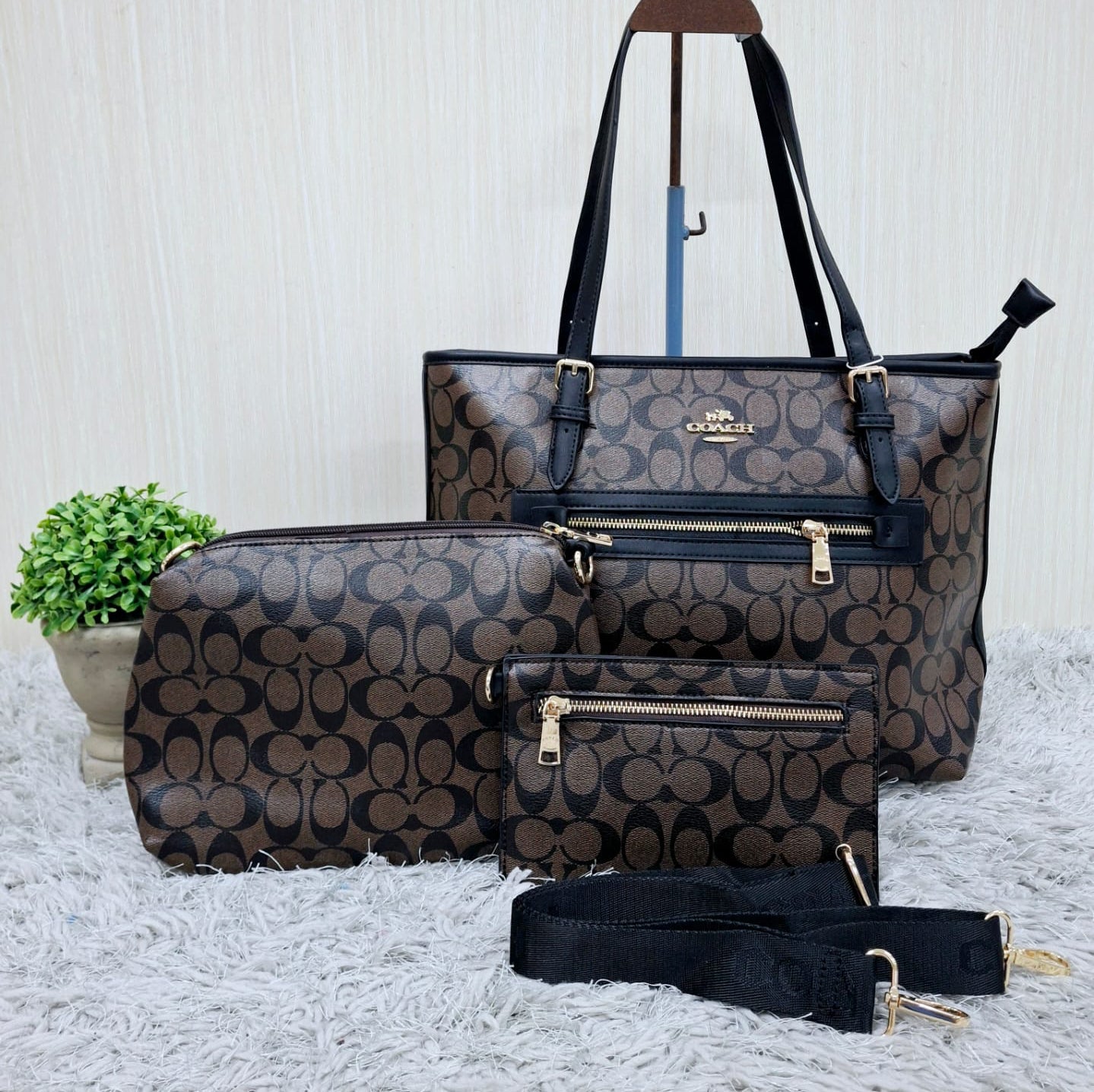 Coach (copia 8)
