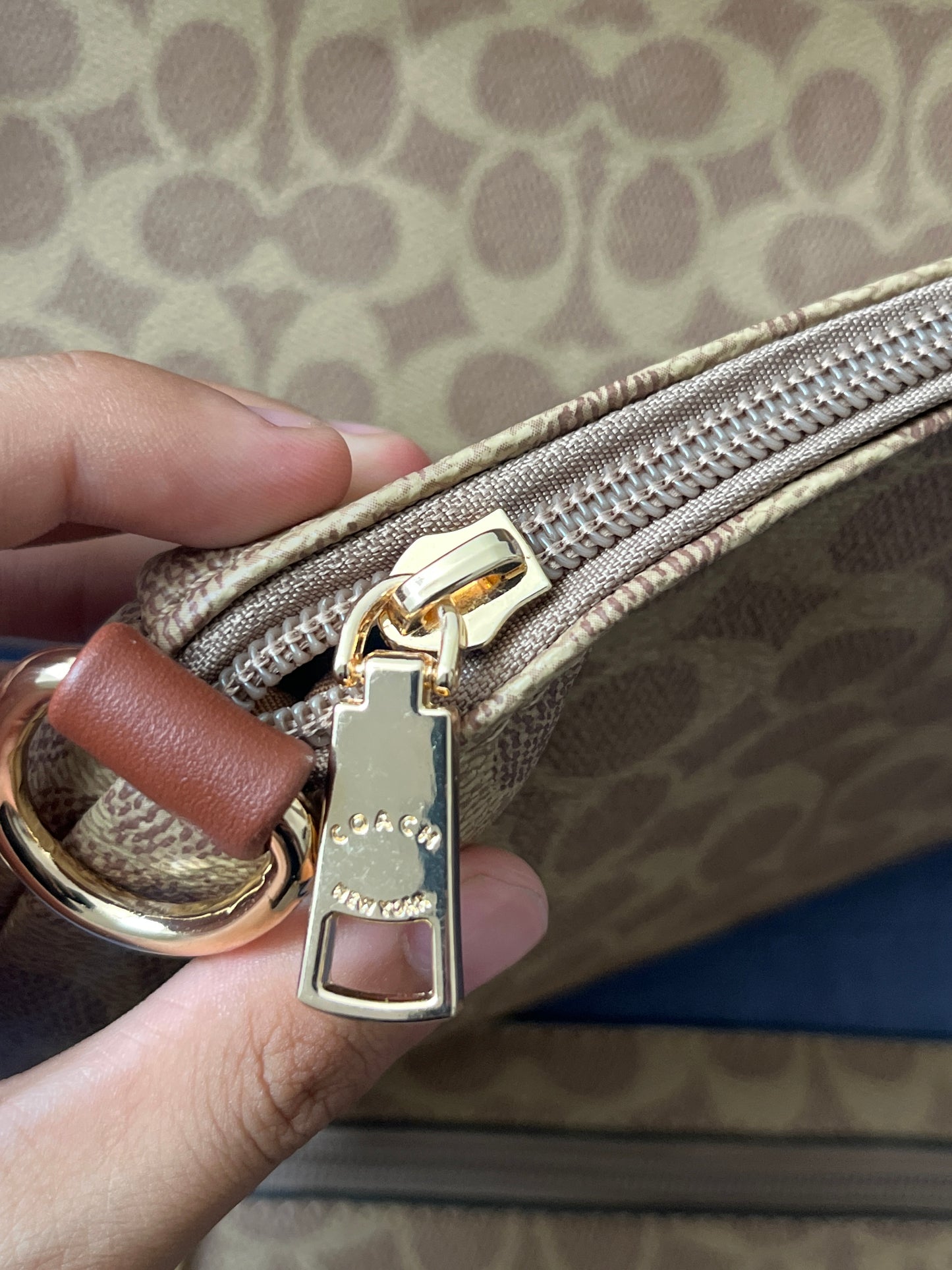 Set de bolsa Coach